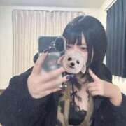 ヒメ日記 2026/02/18 17:19 投稿 なち 奥様なでしこ