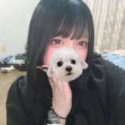 ヒメ日記 2026/02/20 17:02 投稿 なち 奥様なでしこ