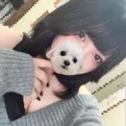 ヒメ日記 2026/02/22 17:19 投稿 なち 奥様なでしこ