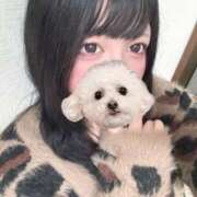 ヒメ日記 2026/02/23 18:33 投稿 なち 奥様なでしこ