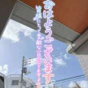 ヒメ日記 2026/04/10 08:42 投稿 まき 天空のマット