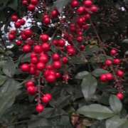 いち 💌本指名M君へ デザインプリズム新宿