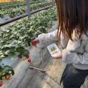 ヒメ日記 2026/02/21 10:39 投稿 はむ★ 新潟風俗 Cherish Amulet