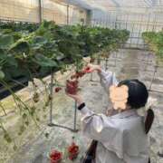 ヒメ日記 2026/04/02 16:03 投稿 はむ★ 新潟風俗 Cherish Amulet