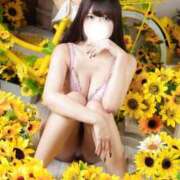 ヒメ日記 2026/08/15 22:41 投稿 ぱいん（極上SPコース対応） LIGHT（ライト）～光が導く無限の可能性～
