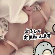 ヒメ日記 2026/01/03 12:09 投稿 神田つばき 月の真珠-新宿-