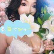 ヒメ日記 2026/01/14 10:24 投稿 ゆずは 桃李（とうり）