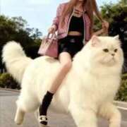 ヒメ日記 2025/12/29 07:12 投稿 りんか 桃李（とうり）