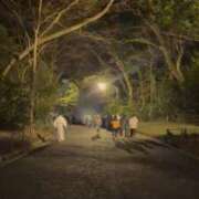 ヒメ日記 2026/01/01 00:06 投稿 りんか 桃李（とうり）