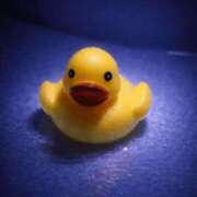 ヒメ日記 2026/01/30 22:10 投稿 板谷 由夏 熟女・人妻マダム宮殿