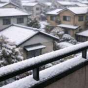 ヒメ日記 2026/02/08 15:32 投稿 板谷 由夏 熟女・人妻マダム宮殿