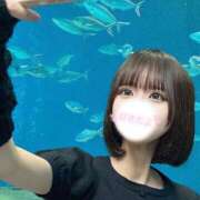 ヒメ日記 2026/01/09 06:00 投稿 せな JAPAN CLUB BUNNY LOUNGE