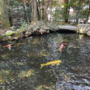 仲宗根 みな 2026年🎍🎀🐴 アソビザ女子社員 イメクラ部