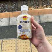 ヒメ日記 2026/06/11 08:16 投稿 ニコ【ニコっと恋開始】 ドＭなバニーちゃん小倉店