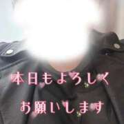 ヒメ日記 2025/12/29 10:46 投稿 さり One More 奥様　西川口店