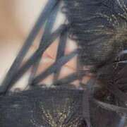 山本なみ ありがとうございます💖 渋谷ミルク