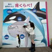 ヒメ日記 2026/02/18 12:46 投稿 あいな 隙のあるエステ