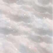 ミミ すみません エピソード(品川)