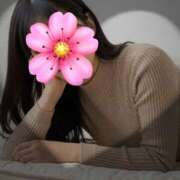 ヒメ日記 2026/03/02 16:11 投稿 ほのか♪早稲〇の色白ちゃん♪ 初めての体験入店