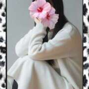 ヒメ日記 2026/03/05 13:14 投稿 ほのか♪早稲〇の色白ちゃん♪ 初めての体験入店