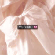 ヒメ日記 2026/03/14 21:59 投稿 める 大阪和泉ちゃんこ