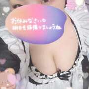 ヒメ日記 2026/01/11 00:32 投稿 わかな ぽっちゃり巨乳素人専門店ぷにめろ八王子店