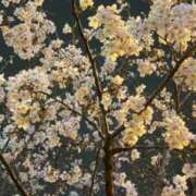 ヒメ日記 2026/03/24 22:54 投稿 わかな ぽっちゃり巨乳素人専門店ぷにめろ八王子店