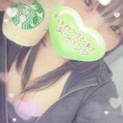 ヒメ日記 2026/04/06 09:31 投稿 わかな ぽっちゃり巨乳素人専門店ぷにめろ八王子店