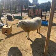 ヒメ日記 2026/02/21 11:08 投稿 まひろ 東京アロマスタイル