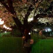 ヒメ日記 2026/04/10 17:18 投稿 まひろ 東京アロマスタイル