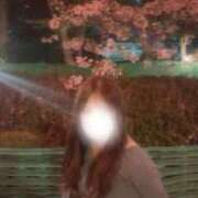 ヒメ日記 2026/04/11 12:14 投稿 まひろ 東京アロマスタイル