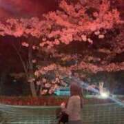 ヒメ日記 2026/04/17 17:08 投稿 まひろ 東京アロマスタイル