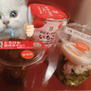 ヒメ日記 2026/02/06 10:21 投稿 こはる Queen Angel(クイーンエンジェル)