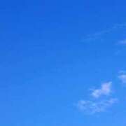 ヒメ日記 2026/01/16 12:27 投稿 ねね 池袋ぱんぷきん（シンデレラグループ）