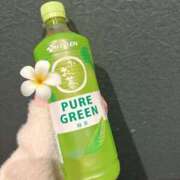 ヒメ日記 2026/01/17 23:55 投稿 ねね 池袋ぱんぷきん（シンデレラグループ）