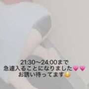 ヒメ日記 2026/03/29 16:01 投稿 ねね 池袋ぱんぷきん（シンデレラグループ）