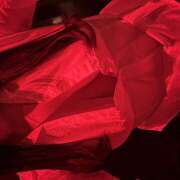 なのか はじめまして、なのかです！ クリステル