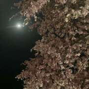 ヒメ日記 2026/03/06 15:49 投稿 なごみ エロティックマッサージ 新橋