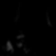 ヒメ日記 2026/01/31 19:35 投稿 みお アレグリア