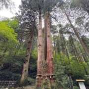 ヒメ日記 2026/03/06 12:37 投稿 るみこ 完熟ばなな 立川