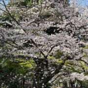 ヒメ日記 2026/03/27 21:41 投稿 るみこ 完熟ばなな 立川