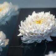 ヒメ日記 2026/02/03 14:17 投稿 いろは ごほうびSPA 新宿店