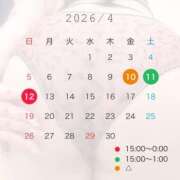 ヒメ日記 2026/04/06 01:41 投稿 いろは 京都祇園・南インターちゃんこ