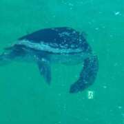 ヒメ日記 2026/03/14 08:04 投稿 さち 一宮稲沢小牧ちゃんこ