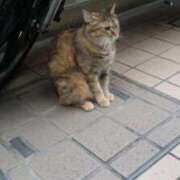 ヒメ日記 2026/03/10 18:27 投稿 あいの Grace東京