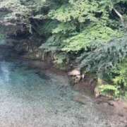 ヒメ日記 2026/09/12 13:47 投稿 あいの Grace東京