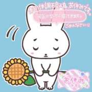ヒメ日記 2026/05/16 00:05 投稿 ひまり ぷるるんギャング