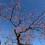 ヒメ日記 2026/03/14 01:06 投稿 すず 神田エマニエル