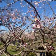 ヒメ日記 2026/03/14 23:18 投稿 すず 神田エマニエル