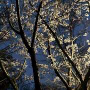 ヒメ日記 2026/03/30 18:00 投稿 すず 神田エマニエル